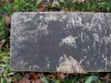 image of grave number 43404